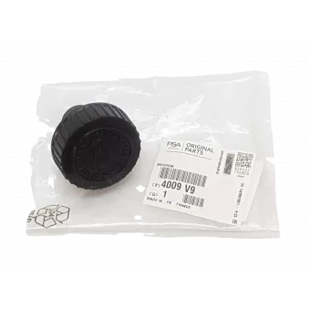 Bouchon De Remplissage D'huile Moteur OE 4009V9