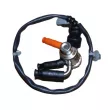 Injecteur OE 208994525R - Visuel 2