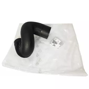 Tuyau D’air OE 0382ET
