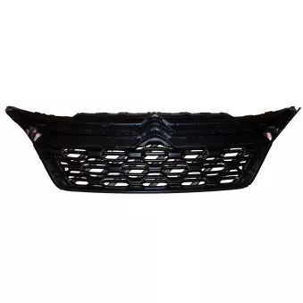 Grille De Par Chocs,Calandre OE 1613256780