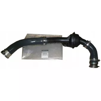 Tuyau D’air OE 144600661R