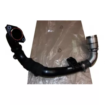 Tuyau D’air OE 144607751R
