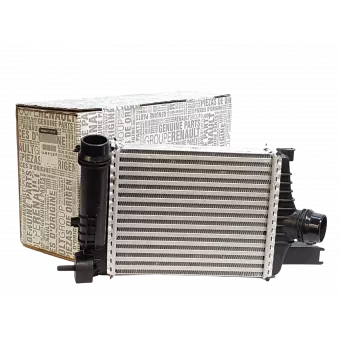 Echangeur de turbo OE 144961381R