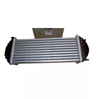 Echangeur de turbo OE 144963234R