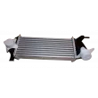 Echangeur de turbo OE 144963234R - Visuel 2
