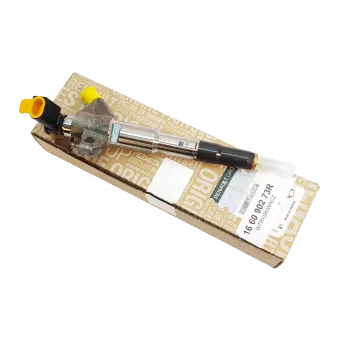 Injecteur OE 166090273R