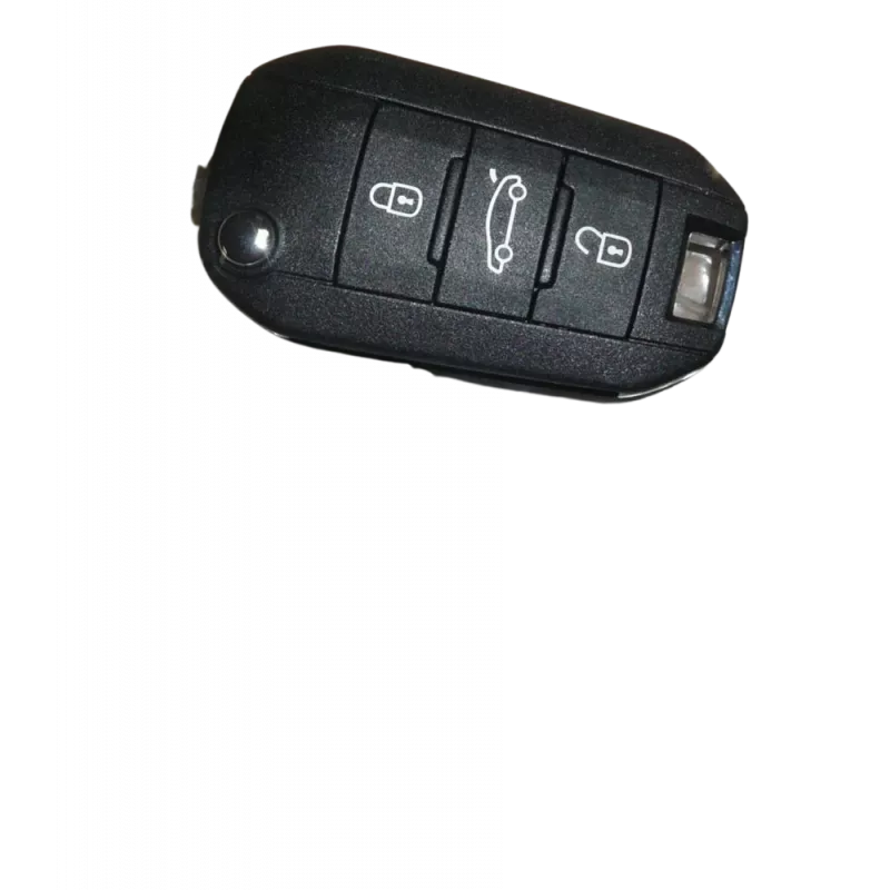 Clef De Voiture OE 1609365280
