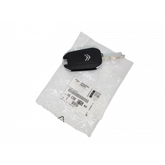 Clef De Voiture OE 1617021580