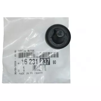 Bonnette, projecteur principal OE 1623123780