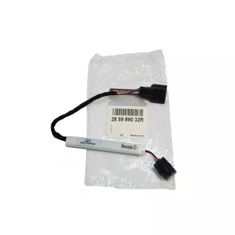 Antenne De Voiture OE 285989032R