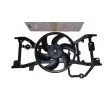 Ventilateur du moteur OE 214810048R - Visuel 1