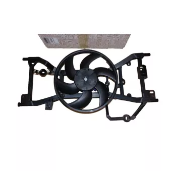 Ventilateur du moteur OE 214810048R