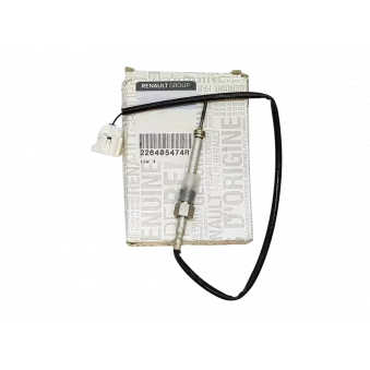 Capteur, température des gaz OE 226405474R
