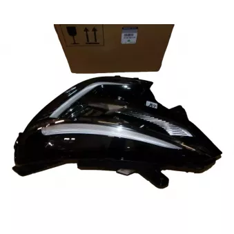 Phare Gauche OE 260600901R