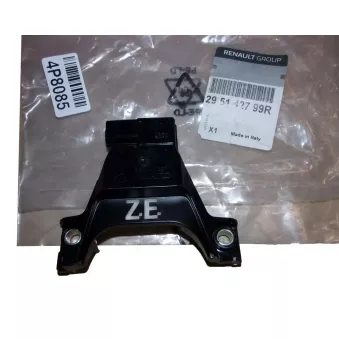 Calculateur OE 295142799R