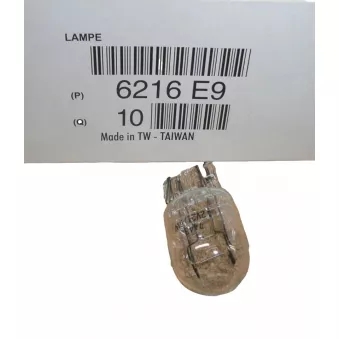 Ampoule OE 6216E9