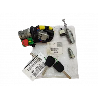 Neiman kit complet (barillet serrure clé) OE 4162CL