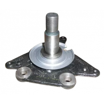 Pivot d'essieu pour disque de frein gauche OE