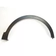 Baguette et bande protectrice, aile avant droit OE 638120719R - Visuel 2