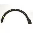 Baguette et bande protectrice, aile avant droit OE 638120719R - Visuel 3