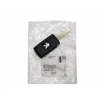 Clef De Voiture OE 6490AH