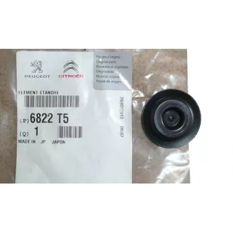 Bonnette, projecteur principal OE 6822T5