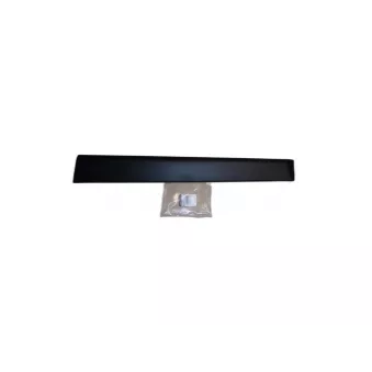 Baguette et bande protectrice, porte avant droit OE 801861710R