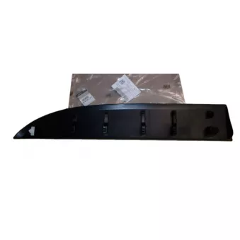 Baguette et bande protectrice, porte avant droit OE 808200752R