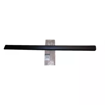 Baguette et bande protectrice, porte avant droit OE 808201969R