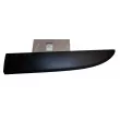 Baguette et bande protectrice, porte avant gauche OE 808213720R - Visuel 1