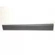 Baguette et bande protectrice, porte avant gauche OE 808779284R - Visuel 2