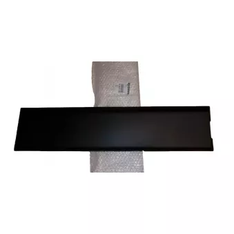 Moulure De Portes Gauche Arrière OE 828200149R