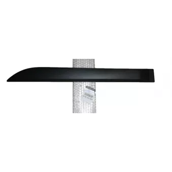Baguette et bande protectrice, porte arrière gauche OE 828216198R