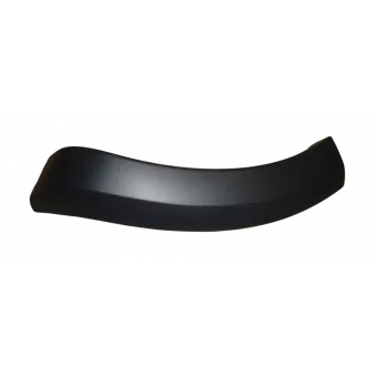 Baguette et bande protectrice, aile arrière gauche OE 850778982R