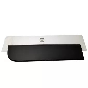 Baguette et bande protectrice, porte arrière gauche OE 908510003R