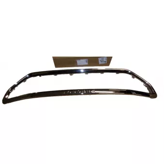 Grille De Par Chocs,Calandre OE