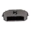 Grille De Par Chocs,Calandre OE 98208431XY - Visuel 2