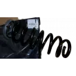 Ressort de suspension arrière OE 9828356380 - Visuel 1