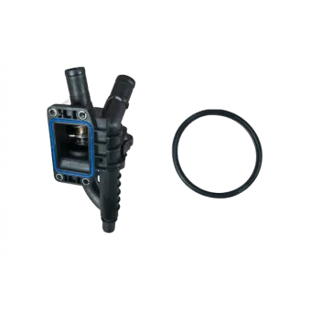 Thermostat d'eau OE 9684588980