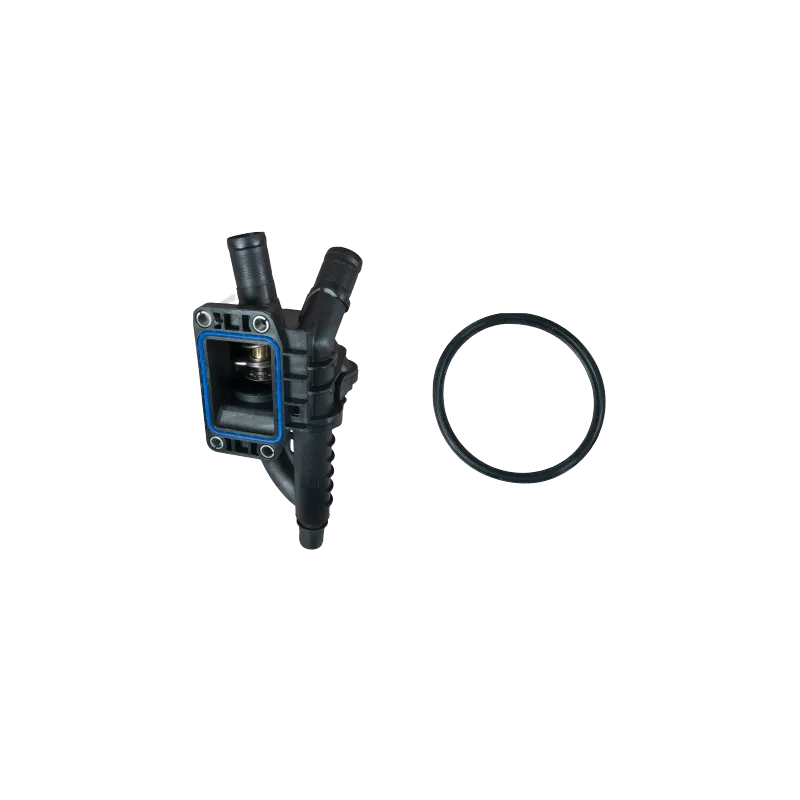 Thermostat d'eau OE 9684588980