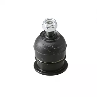 Rotule de suspension CTR CB0110