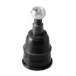 Rotule de suspension CTR CB0116 - Visuel 1