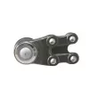 Rotule de suspension CTR CB0181 - Visuel 2