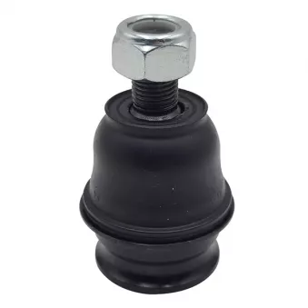 Rotule de suspension CTR CB0188