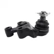 Rotule de suspension CTR CB0217 - Visuel 2