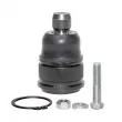 Rotule de suspension CTR CB0274 - Visuel 1