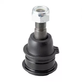 Rotule de suspension CTR