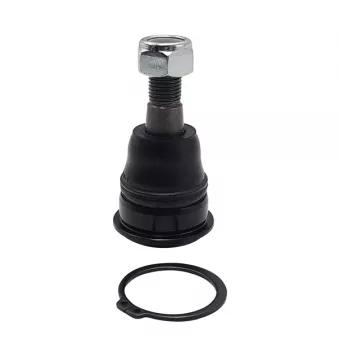 Rotule de suspension CTR CB0318