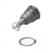 Rotule de suspension CTR CB0318E - Visuel 2
