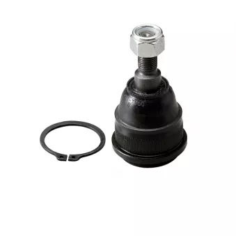 Rotule de suspension CTR CB0326